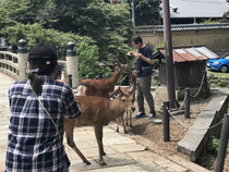 拡大