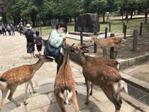 拡大